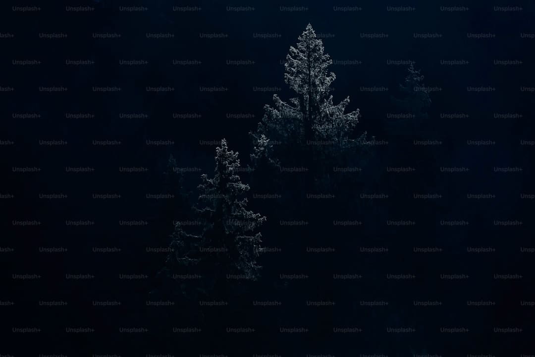 http://n.sinaimg.cn/news/transform/w600h400/20180309/4Wbz-fxpwyhw1833252.jpg?zdy